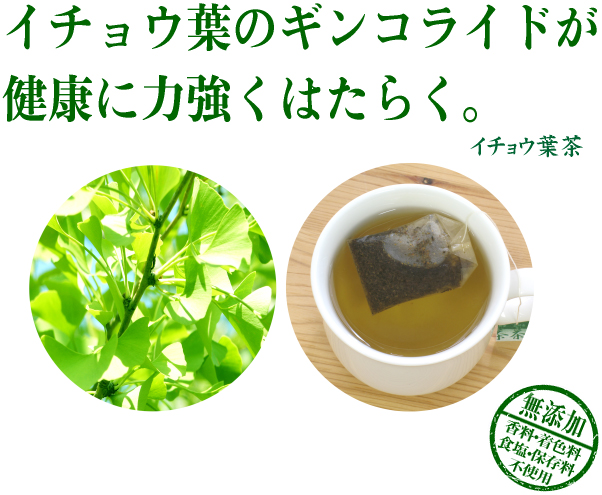 イチョウ葉茶