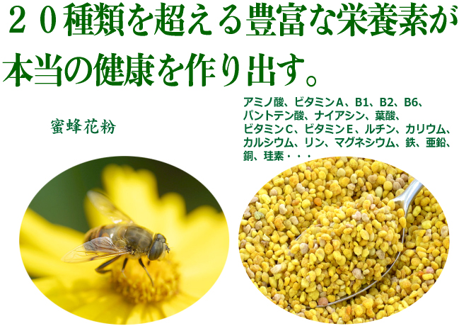 蜜蜂花粉