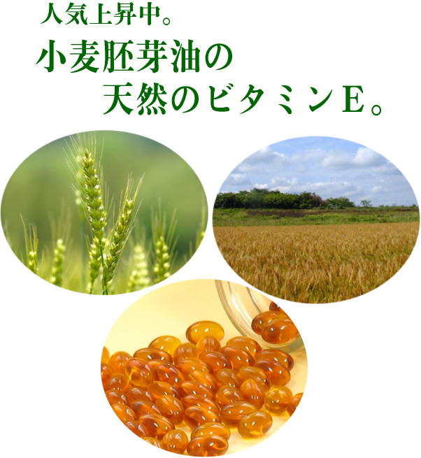 ビタミンE球