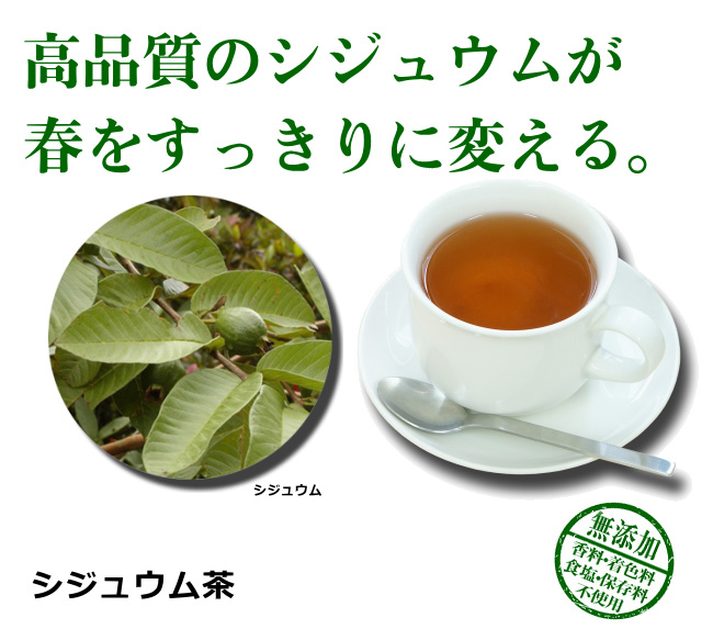 シジュウム茶