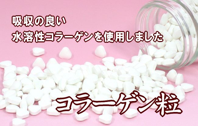 ���顼����γ