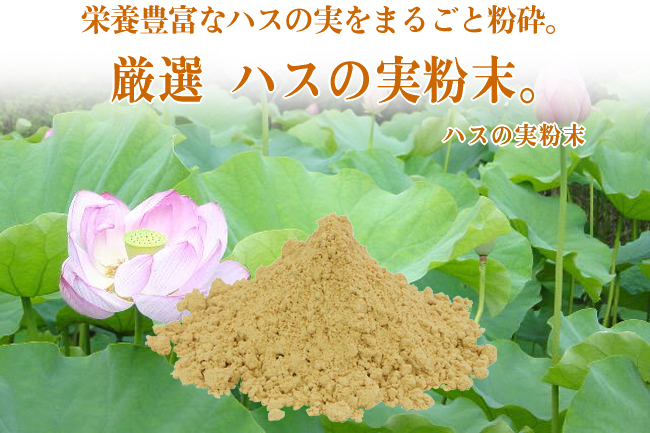 ハスの実粉末