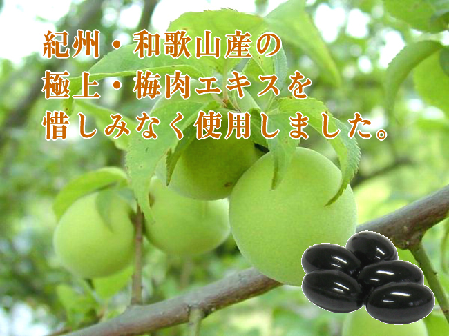 梅肉エキスカプセル