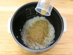 ȯ�긼�Ƥ�����ޤ���