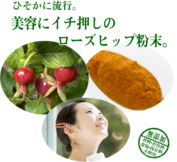 ローズヒップ粉末