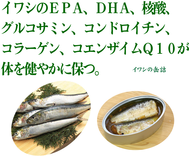 �񻺥��亮�̵�