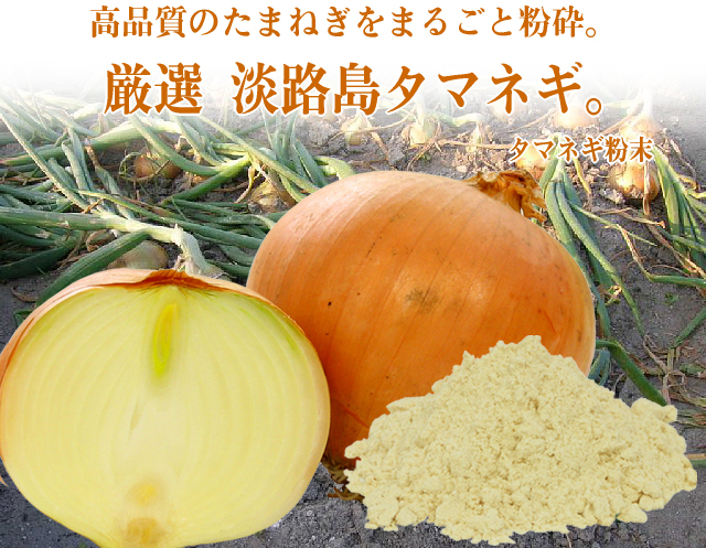 タマネギ粉末